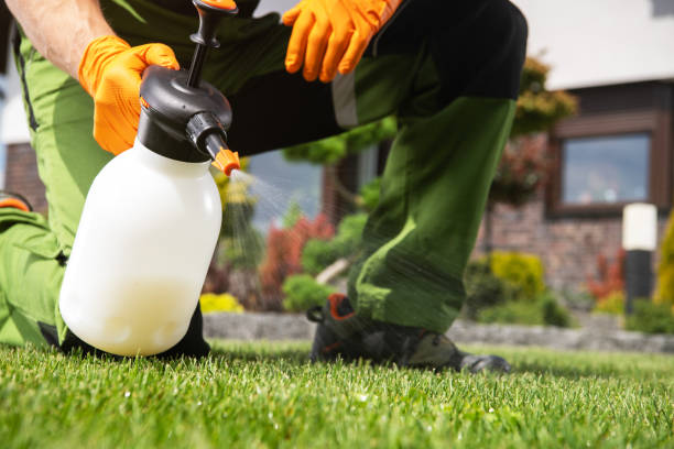 Best Local Pest Control Services  in Audubon, NJ