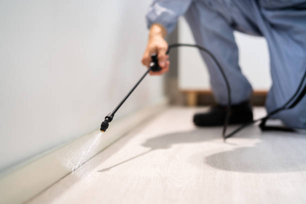 Reliable Audubon, NJ Pest Control Solutions