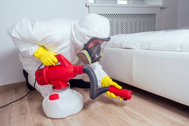 Best Best Pest Control Companies  in Audubon, NJ