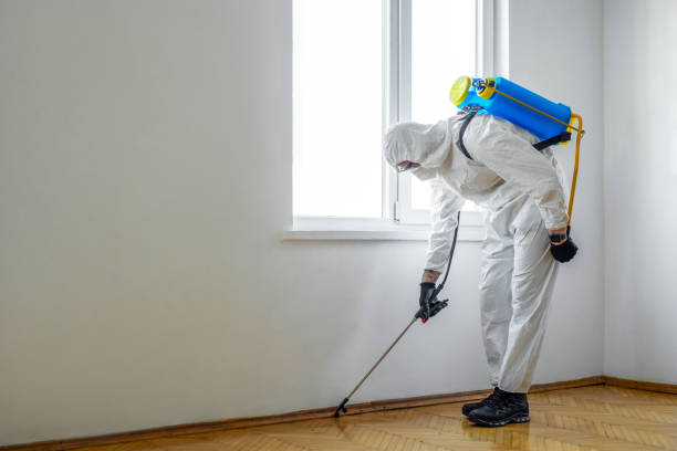 Best Ant Control Services  in Audubon, NJ