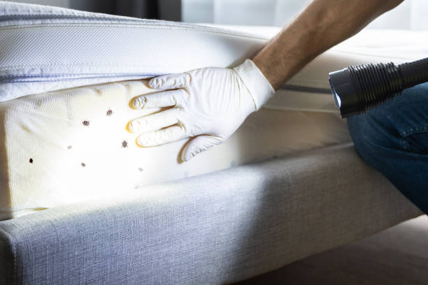 Best Pest Control Near Me in Audubon, NJ