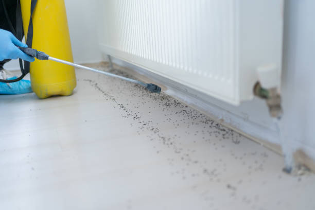 Best Bed Bug Extermination  in Audubon, NJ